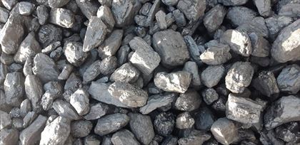 węgiel kamienny orzech